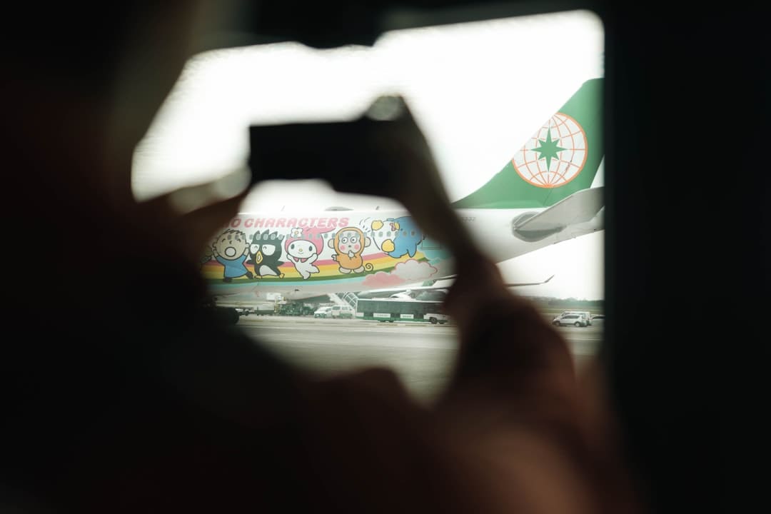 一半花海，一半大海！泉州沿海公园虞美人迎来欣赏期